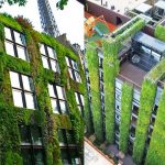 Beneficios de los muros vegetales en las ciudades